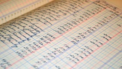 advanced dataset ledger entries