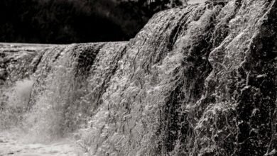 high volume dataset processing